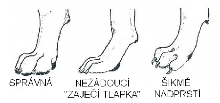 TALPKA